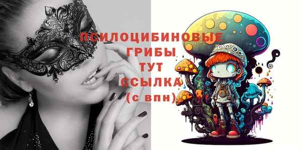 MDMA Елизово