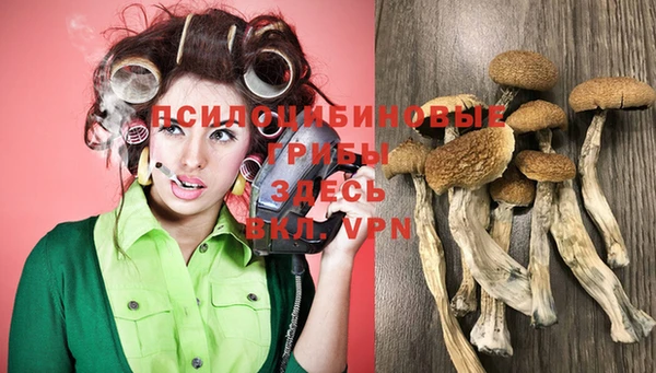 MDMA Елизово